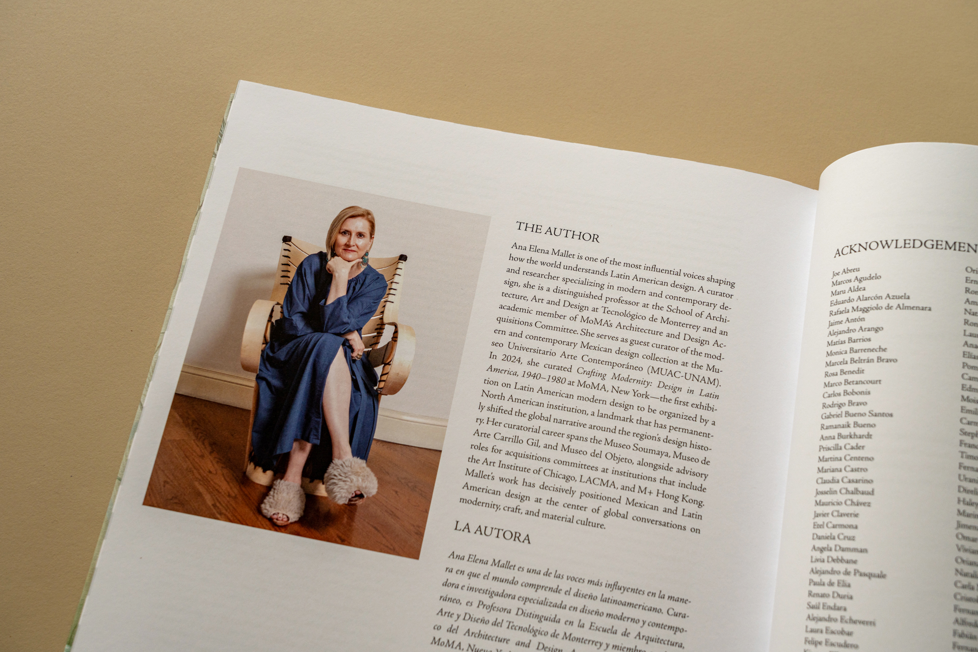 Interior Design in Latin America – Author Ana Elena Mallet